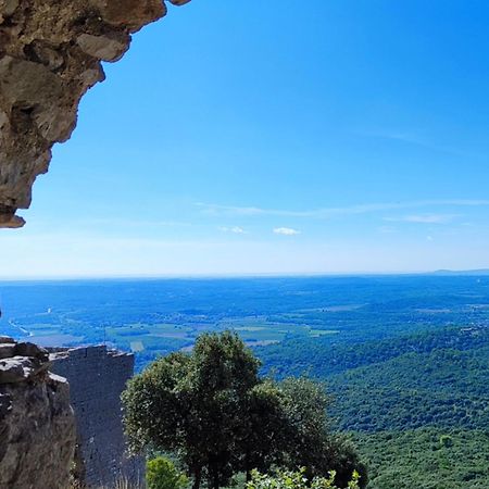 Le Castellas Du Pic St Loup Saint-Mathieu-de-Tréviers Εξωτερικό φωτογραφία