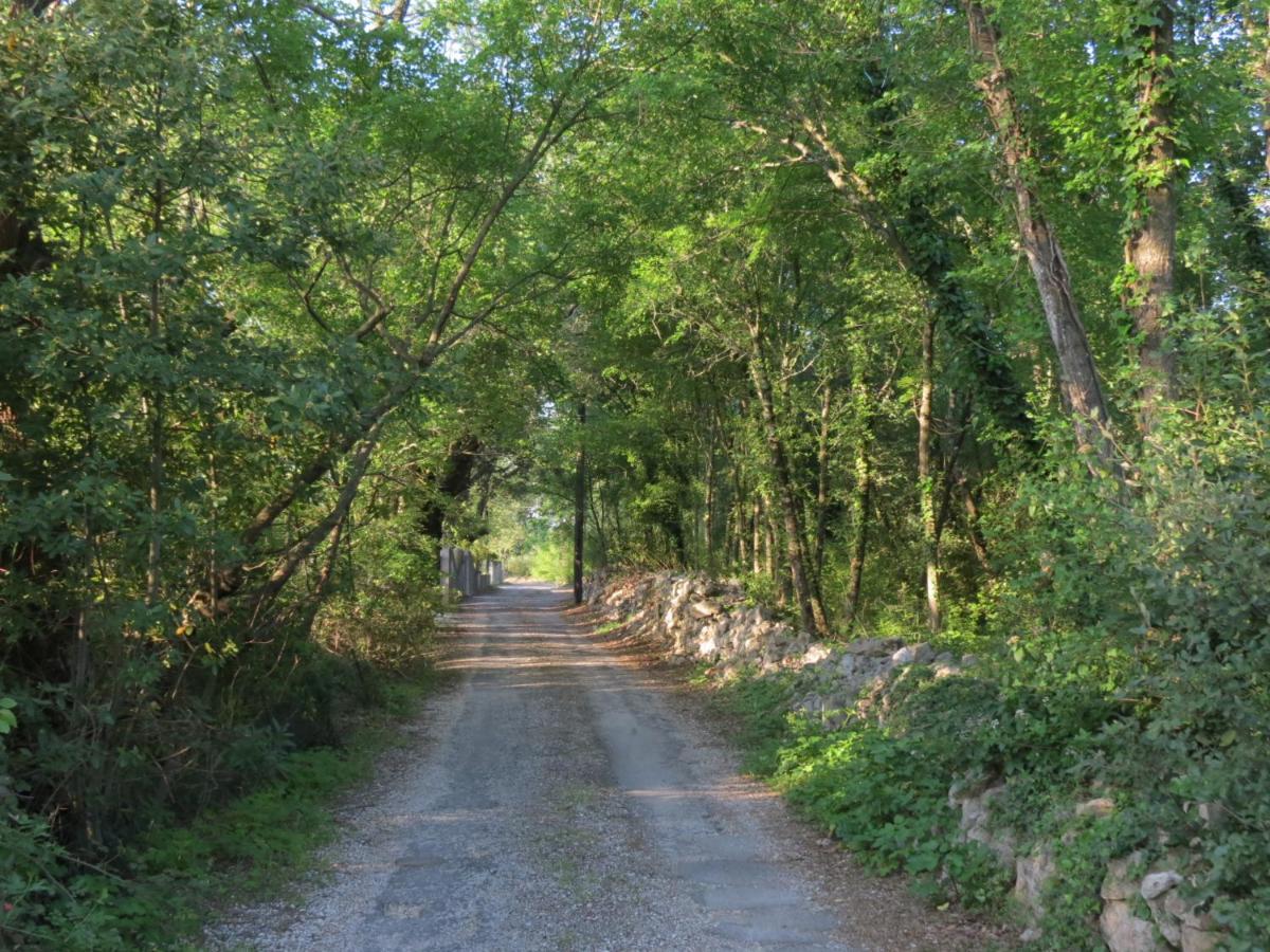 Le Castellas Du Pic St Loup Bed and Breakfast Saint-Mathieu-de-Tréviers Εξωτερικό φωτογραφία