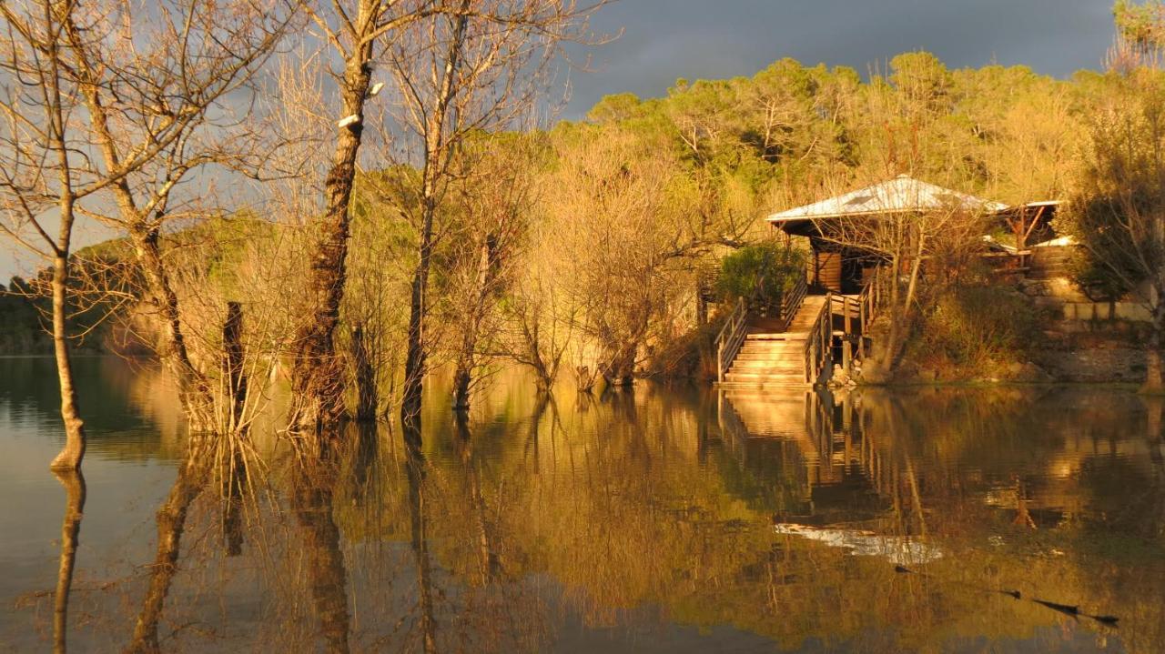 Le Castellas Du Pic St Loup Bed and Breakfast Saint-Mathieu-de-Tréviers Εξωτερικό φωτογραφία