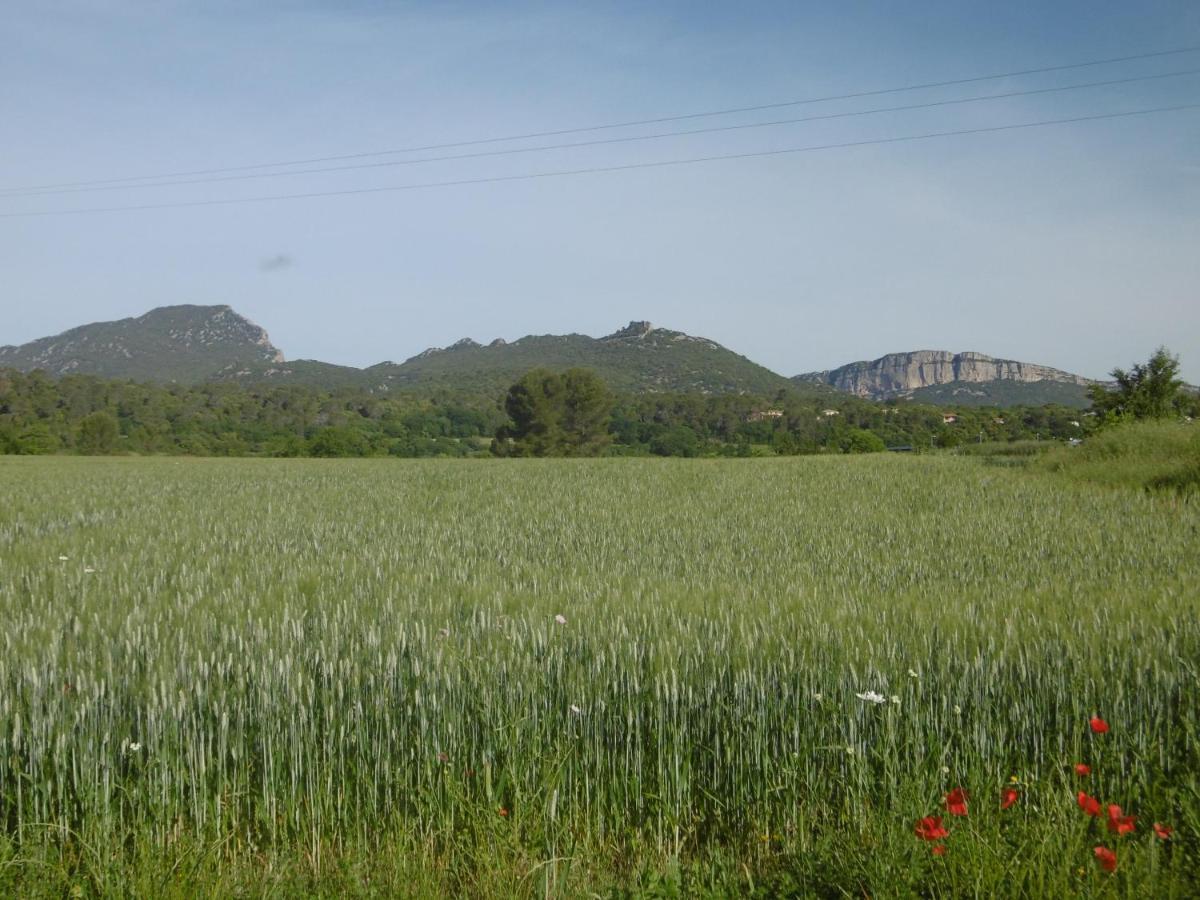 Le Castellas Du Pic St Loup Bed and Breakfast Saint-Mathieu-de-Tréviers Εξωτερικό φωτογραφία