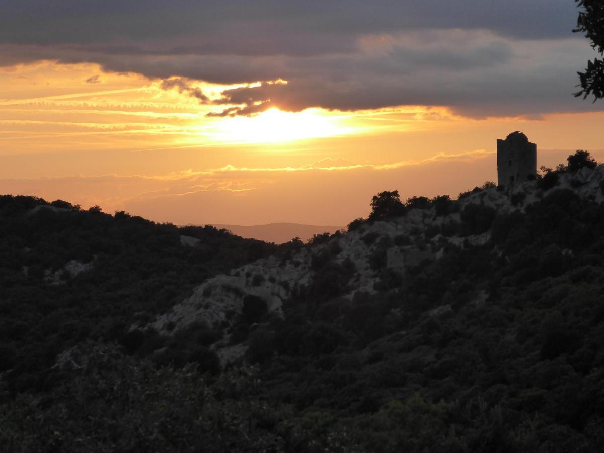 Le Castellas Du Pic St Loup Bed and Breakfast Saint-Mathieu-de-Tréviers Εξωτερικό φωτογραφία