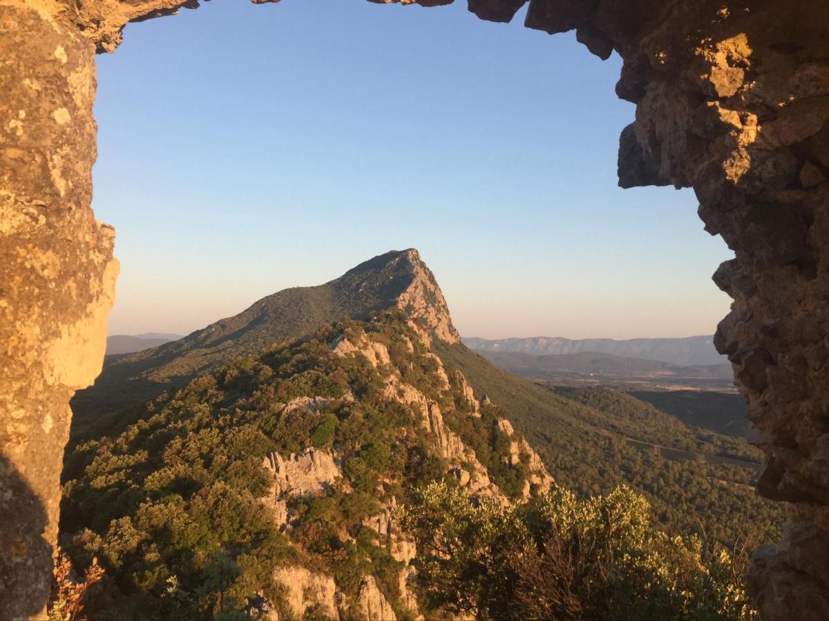 Le Castellas Du Pic St Loup Saint-Mathieu-de-Tréviers Εξωτερικό φωτογραφία