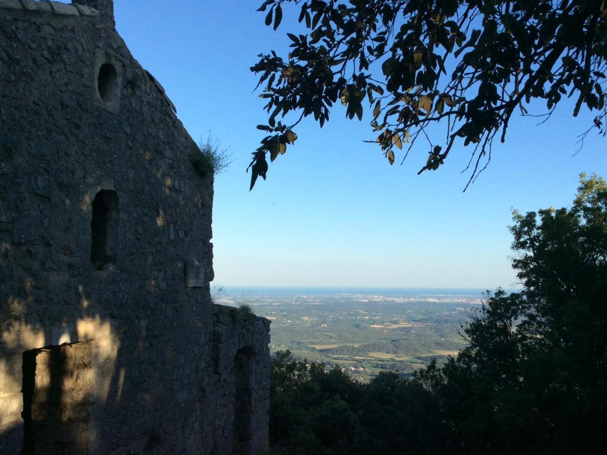 Le Castellas Du Pic St Loup Bed and Breakfast Saint-Mathieu-de-Tréviers Εξωτερικό φωτογραφία