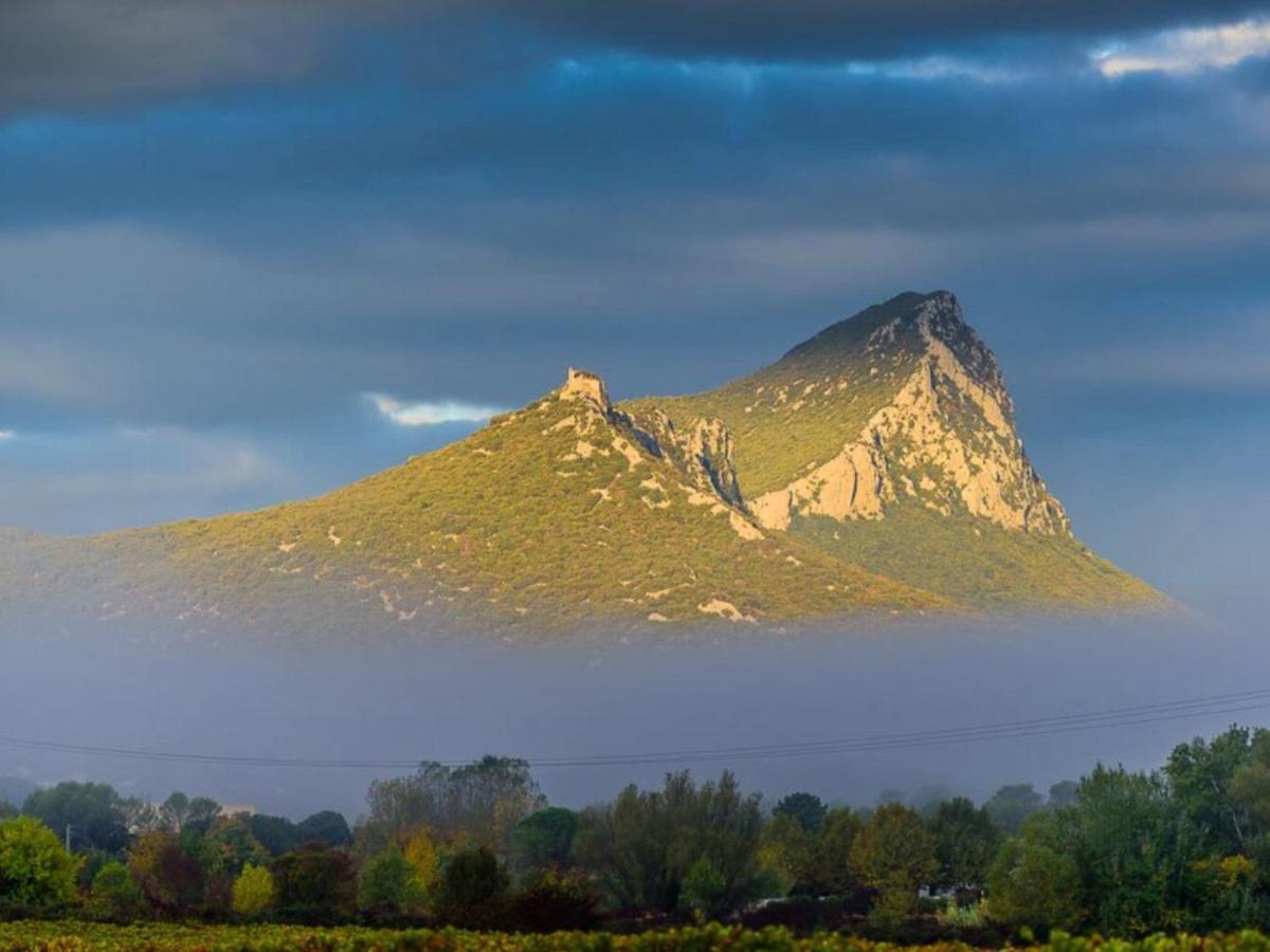 Le Castellas Du Pic St Loup Bed and Breakfast Saint-Mathieu-de-Tréviers Εξωτερικό φωτογραφία