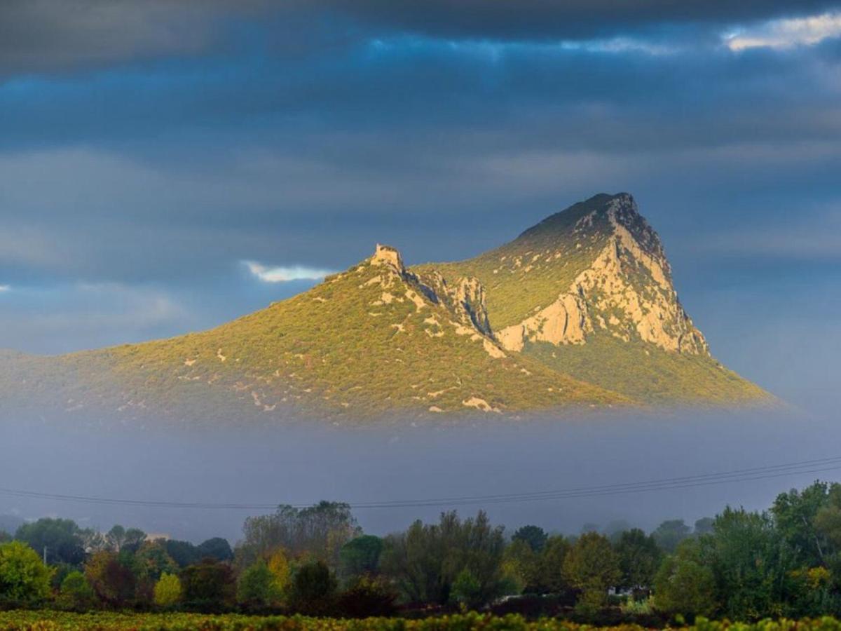 Le Castellas Du Pic St Loup Saint-Mathieu-de-Tréviers Εξωτερικό φωτογραφία
