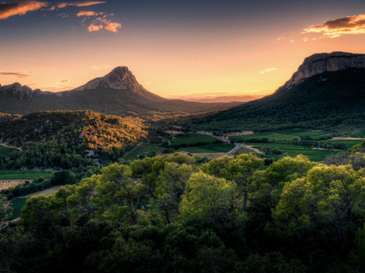 Le Castellas Du Pic St Loup Bed and Breakfast Saint-Mathieu-de-Tréviers Εξωτερικό φωτογραφία