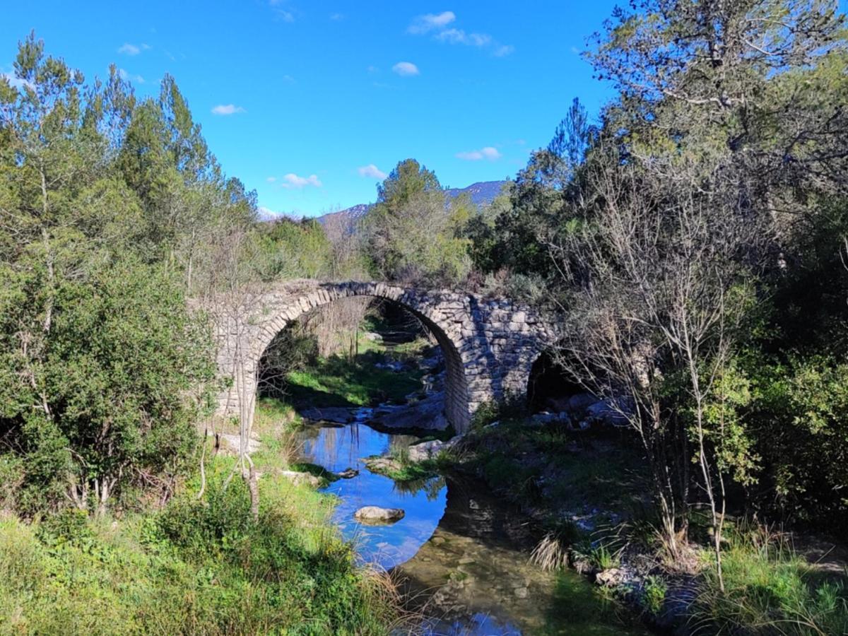 Le Castellas Du Pic St Loup Bed and Breakfast Saint-Mathieu-de-Tréviers Εξωτερικό φωτογραφία