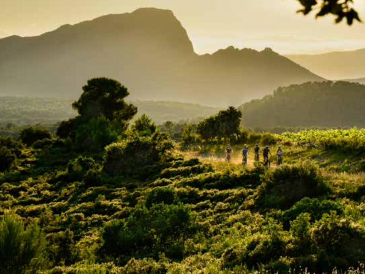 Le Castellas Du Pic St Loup Bed and Breakfast Saint-Mathieu-de-Tréviers Εξωτερικό φωτογραφία