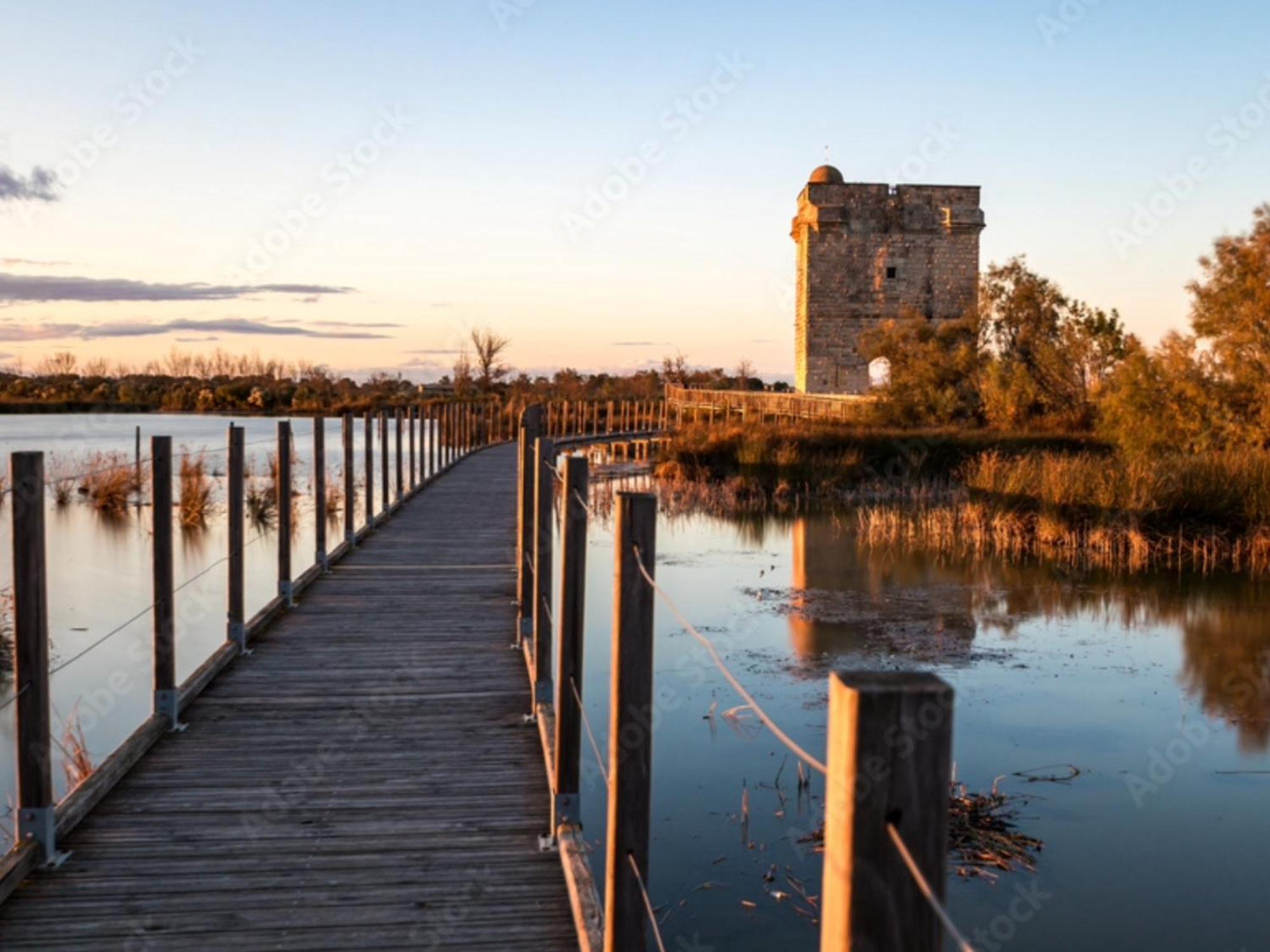 Le Castellas Du Pic St Loup Bed and Breakfast Saint-Mathieu-de-Tréviers Εξωτερικό φωτογραφία